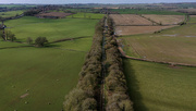 16th Mar 2020 - Lubenham Tracks