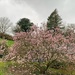 Spring in Brittany  by cocobella