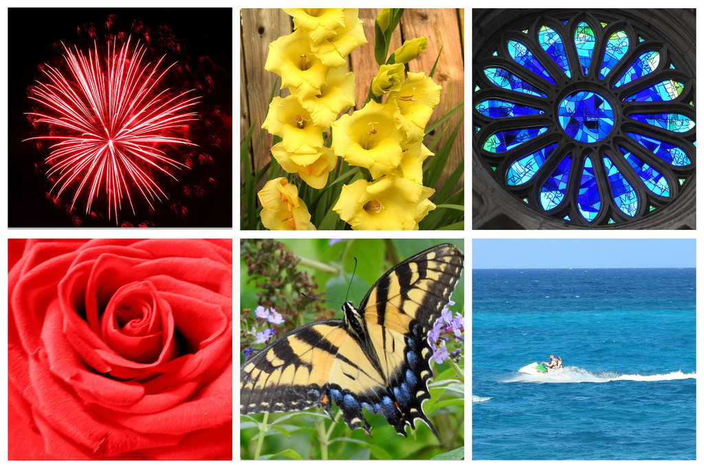 My Favorite Primary Color Pics in a Collage by homeschoolmom