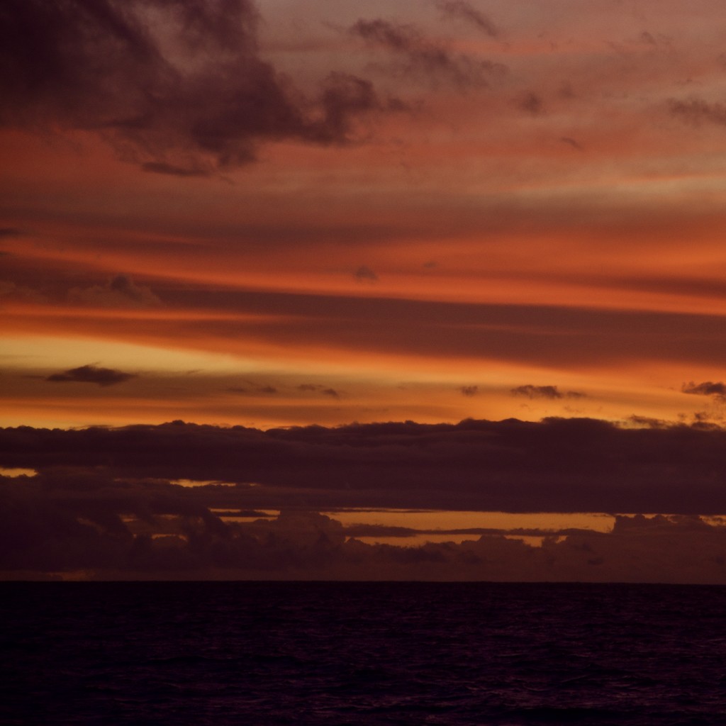 Last Night's Sunset DSC_7533 by merrelyn
