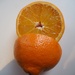 Orange 3 by jacqbb