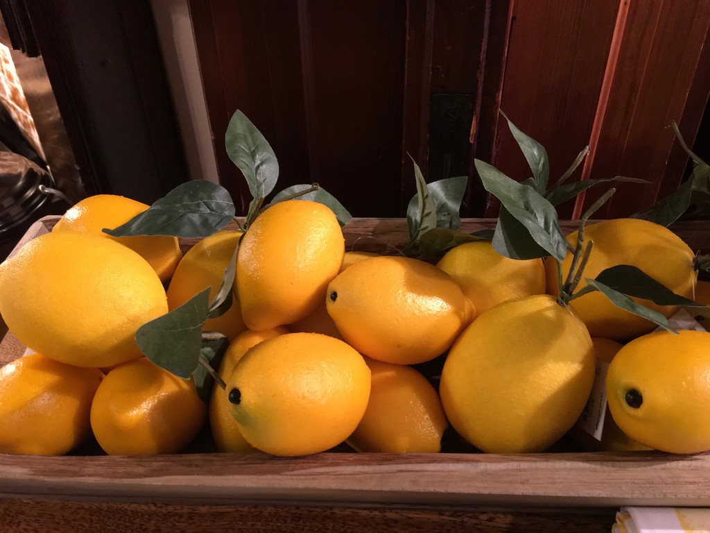 Make Lemonade by essiesue