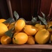 Make Lemonade by essiesue