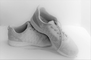17th Mar 2020 - Walking Shoes