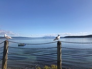 18th Mar 2020 - Lake Taupo in quiet mood!