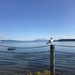 Lake Taupo in quiet mood! by happypat