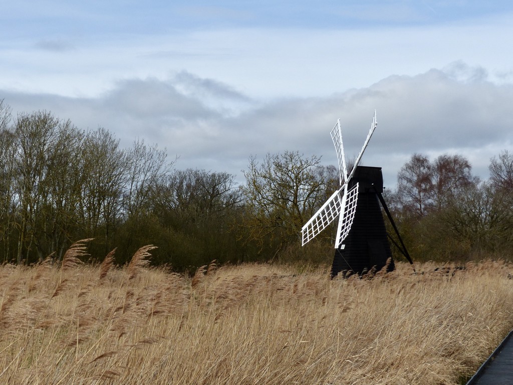 Wicken Fen Windmill by foxes37