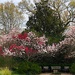 Spring in all it’s finery at Hampton Park in Charleston. by congaree