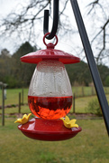 14th Mar 2020 - Hummingbird Feeder