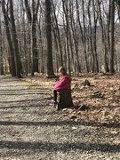 18th Mar 2020 - We went on a long hike to get some fresh air 