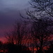 The sky tonight from my patio tonight............ by ziggy77