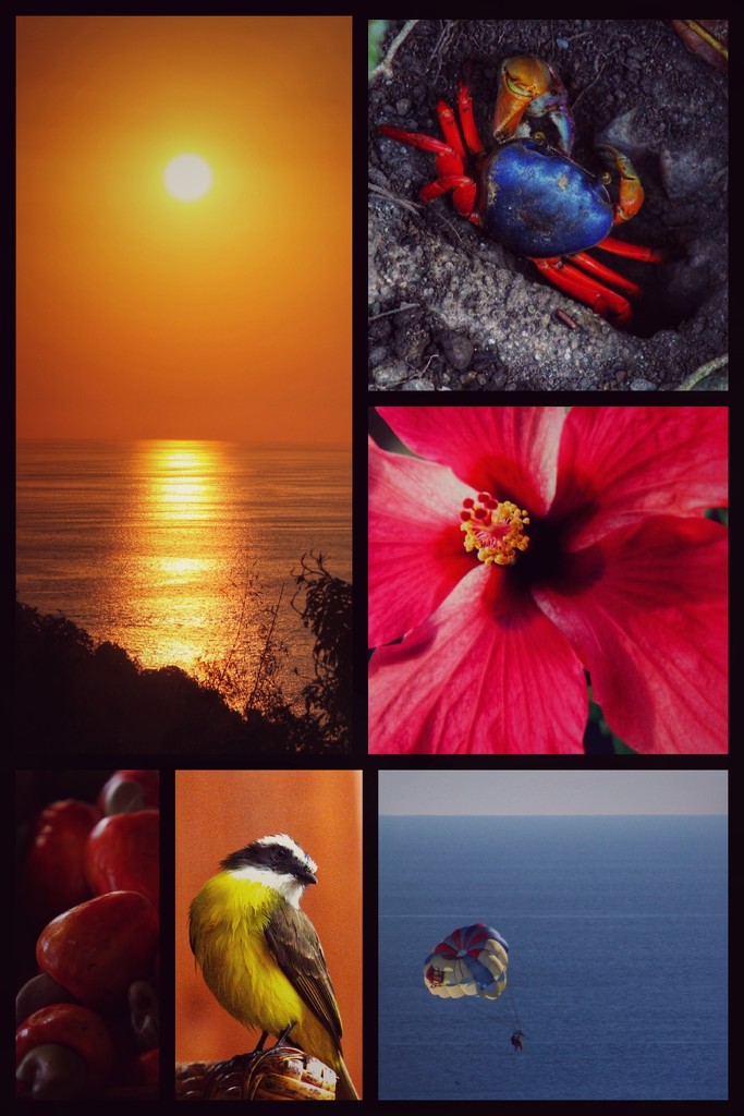 Primary Colors of Costa Rica by mzzhope