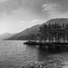 Loch Eck by gamelee