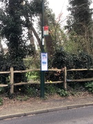 19th Mar 2020 - Self Isolating Bus Stop