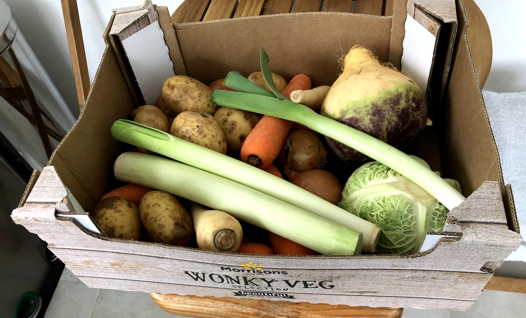 Morrison's Wonky Vegetable Box by arkensiel