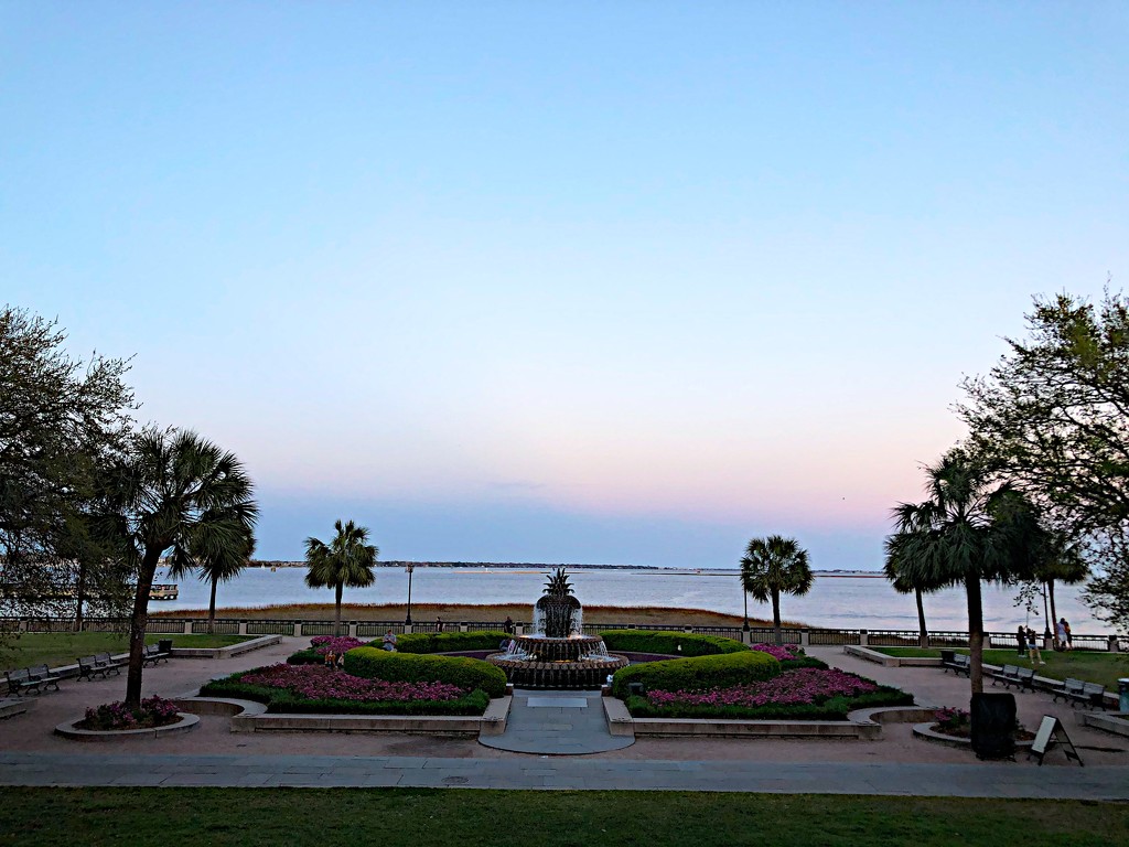 View of Charleston Harbor from Waterfront Park in Charleston yesterday evening. by congaree