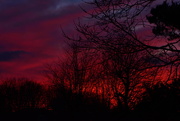 20th Mar 2020 - Another lovely sky tonight...............