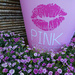 Pink  Kisses. by wendyfrost