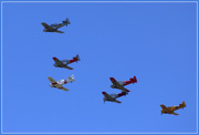 21st Mar 2020 - The flyover