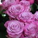 Pink Bouquet by ninaganci