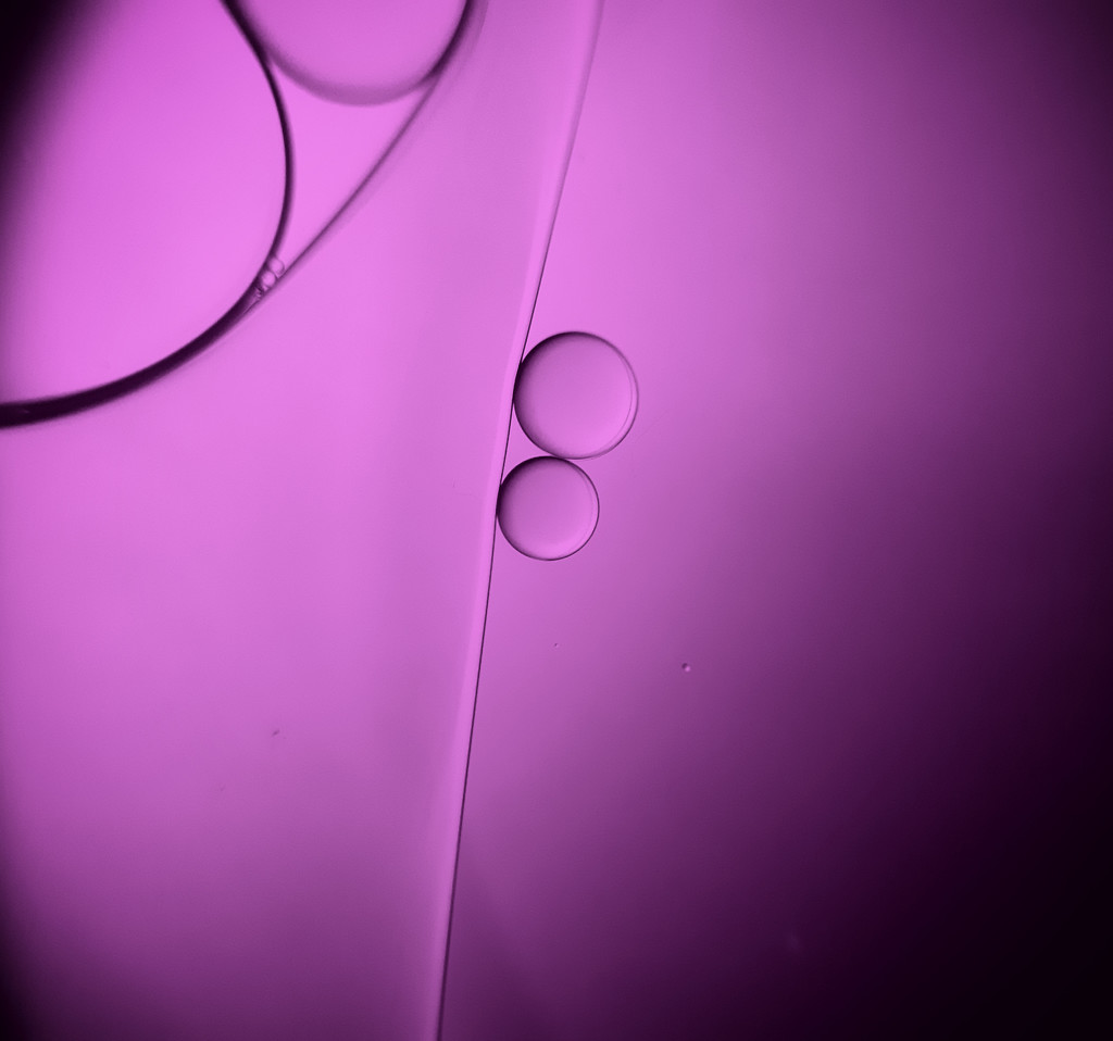 Purple by m2016