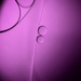 Purple by m2016