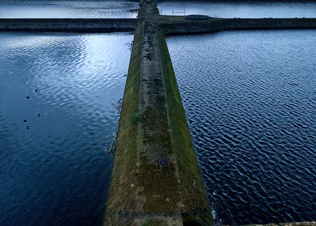 Old reservoir, Surbiton.  by 365nick