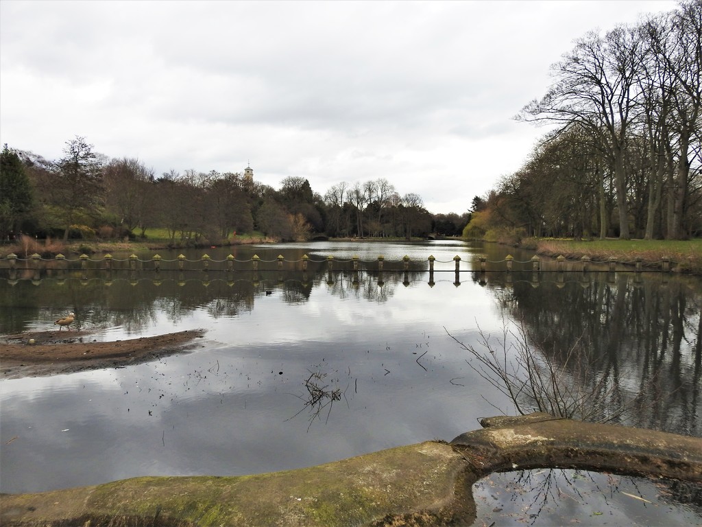 Lake Highfield Park by oldjosh
