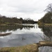 Lake Highfield Park by oldjosh