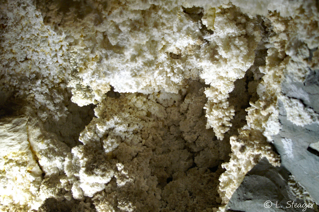 Salt crystals by larrysphotos