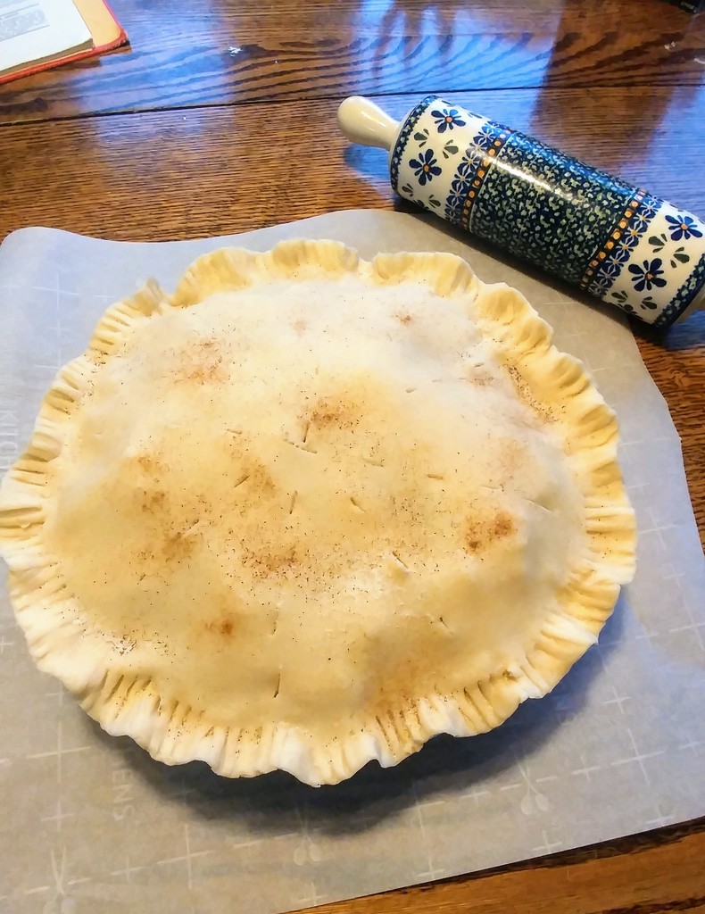 Making an Apple Pie by harbie