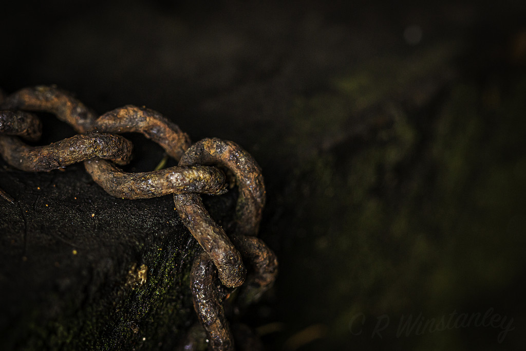 Link in a Chain by kipper1951