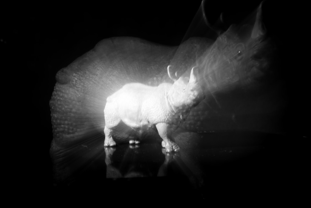 essence of rhino by northy
