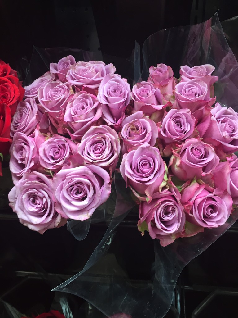 Roses at the grocery store  by kchuk