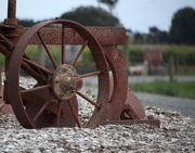 23rd Mar 2020 - Wagon wheel