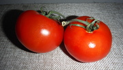 23rd Mar 2020 - Red Tomatoes