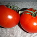 Red Tomatoes by spanishliz