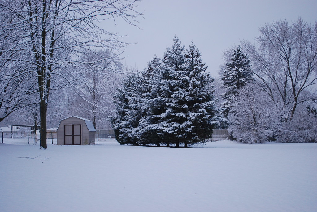 brief return to winter by stillmoments33