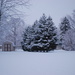 brief return to winter by stillmoments33