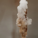 snow capped cattail by rminer