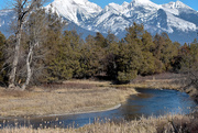 23rd Mar 2020 - Mission Creek - National Bison Range