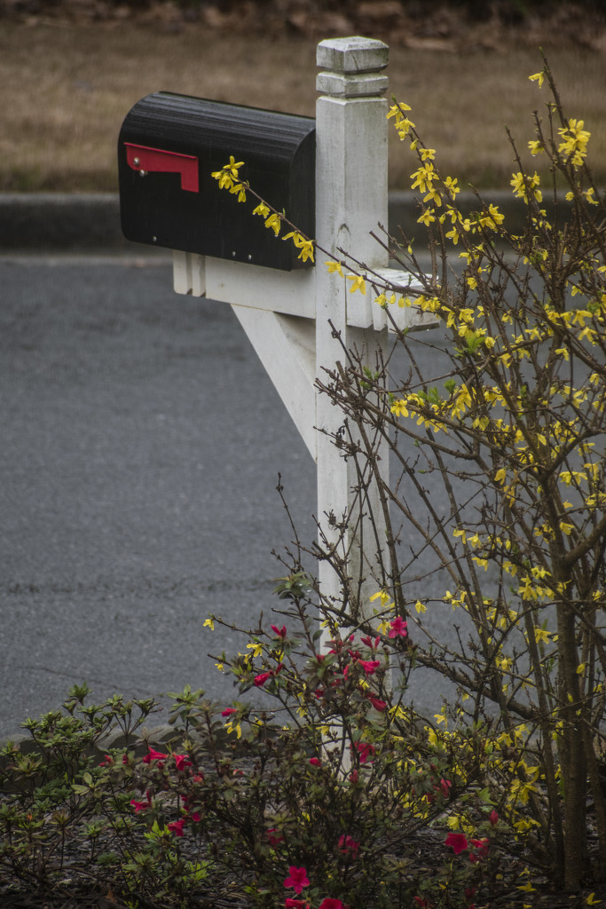 Around the Mailbox by k9photo