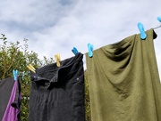 21st Mar 2020 - First washing on the line day this year