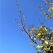 Blue skies! by bigmxx