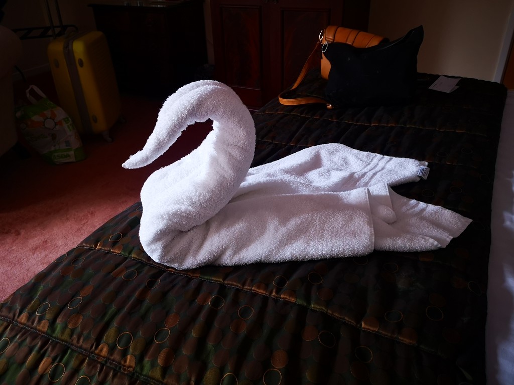 Towel swan by plainjaneandnononsense