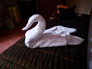 21st Mar 2020 - Towel swan