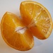 Orange 4 by jacqbb