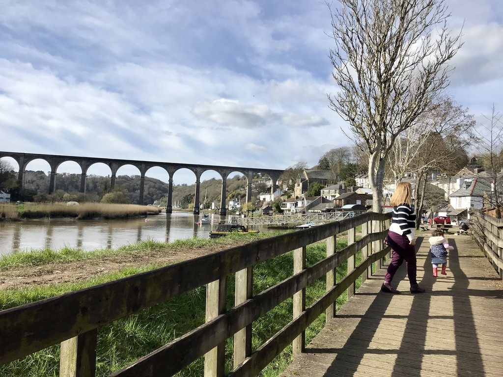 Calstock by emma1231
