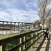 Calstock by emma1231