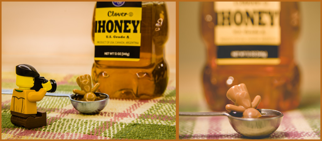 (Day 40) - Honey, I Love You by cjphoto